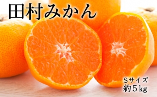 田村みかん約5kg（Sサイズ・秀品）   果物 くだもの フルーツ 蜜柑 みかん