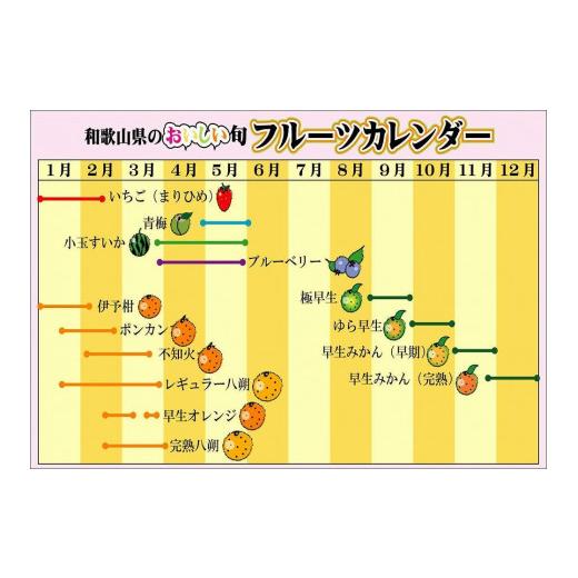 ふるさと納税 和歌山県 印南町 香るumesio調味料　150ml×8本