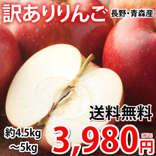 りんご 訳あり 約5kg（4.5-5kg） リンゴ 長野青森県産 サンふじ つがる ジョナゴールド