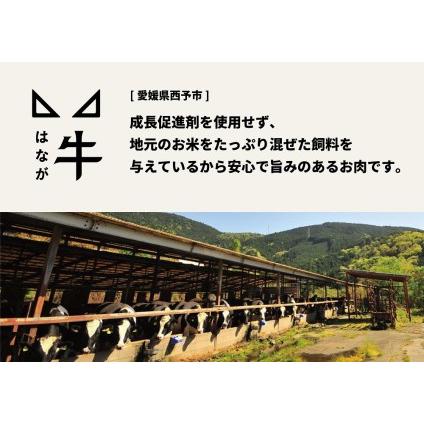 ふるさと納税 熟成肉 はなが牛ロースステーキ 愛媛県西予市