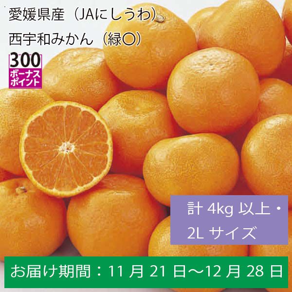 愛媛県産（JAにしうわ）西宇和みかん（緑〇）計４Kg以上・２Ｌサイズ