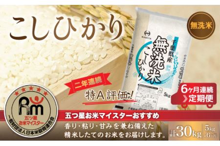 ＜6ヶ月定期便＞2年連続特A評価！千葉県産コシヒカリ5kg×6ヶ月連続 計30kg