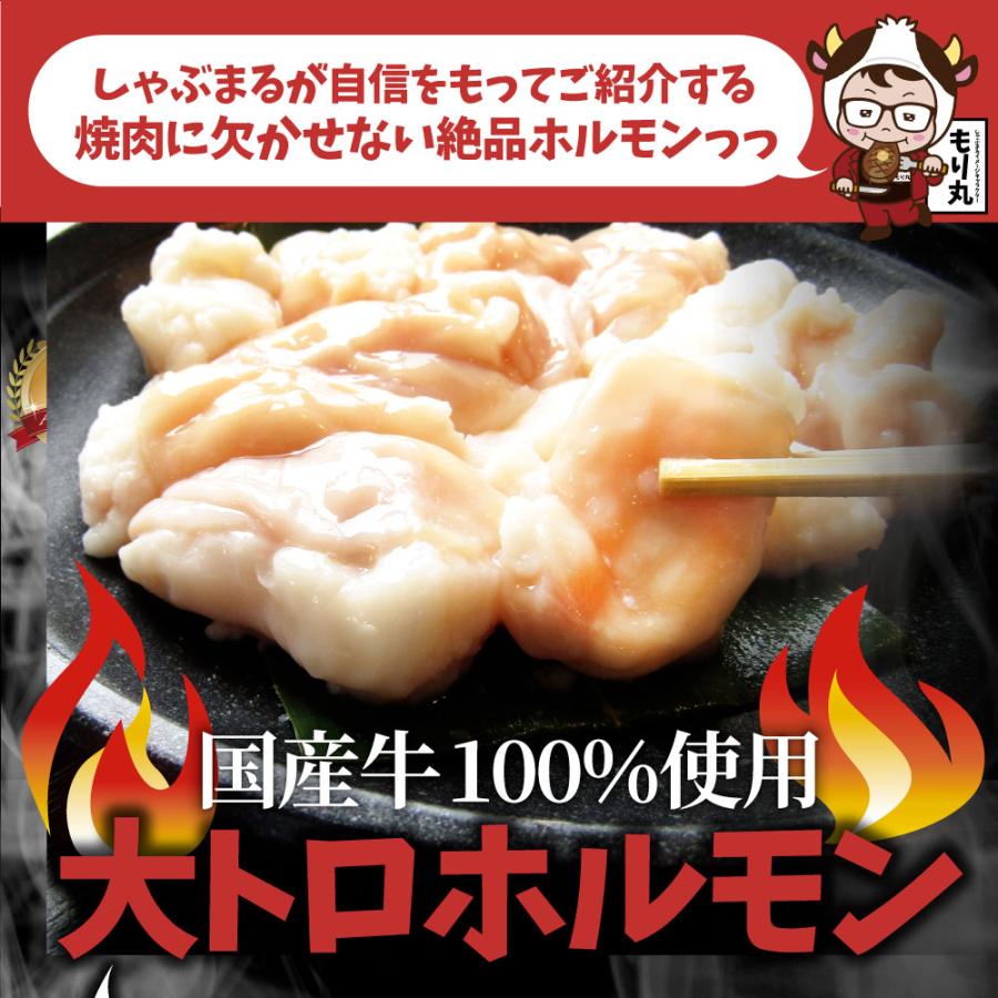 国産牛 ホルモン 4.8kg (240g×20袋) ほるもん 小腸 焼肉用 お得 焼肉 やきにく アウトドア お家焼肉 レジャー 送料無料 冷凍