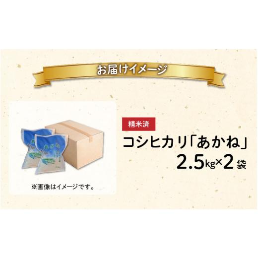 ふるさと納税 福井県 大野市 福井県大野市産 JGAP認証 コシヒカリ「あかね」5kg（2.5kg×2）小分け