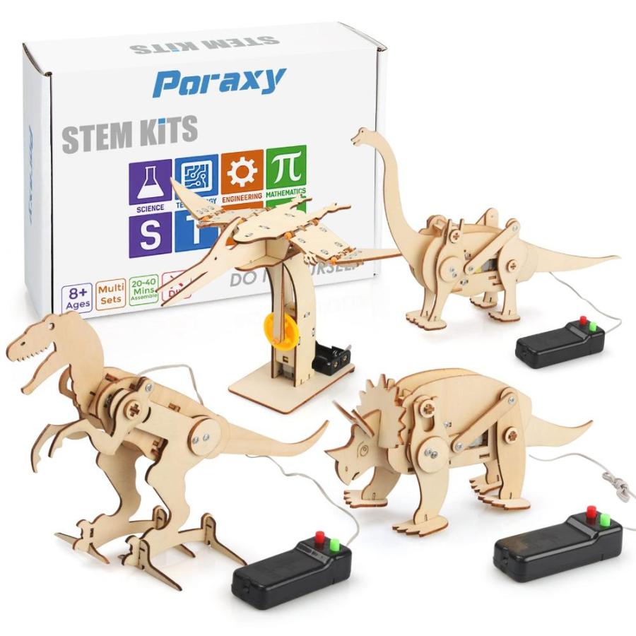 Pack Dinosaur Toys for Kids 812 STEM Kit Boys Toys Age 810 Years