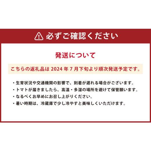 ふるさと納税 大分県 九重町 樹上完熟山育ちトマト 約3kg