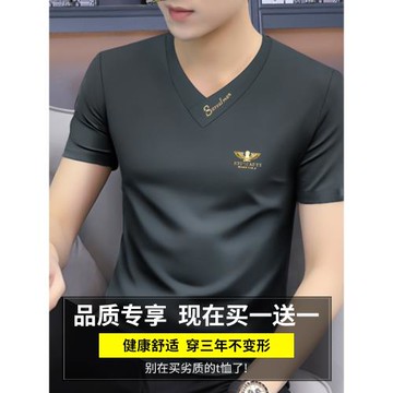 名牌高端t恤男短袖莫代爾冰絲男士夏季v領體恤男款品牌男裝上衣服