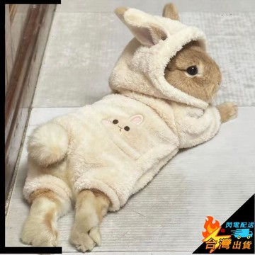 【台灣出貨】寵物衣服 兔子衣服 小型犬衣服 寵物連帽衣服 四腳衣服 冬款 荷蘭豬衣服 貓咪衣服 保暖 垂耳兔侏儒兔衣服