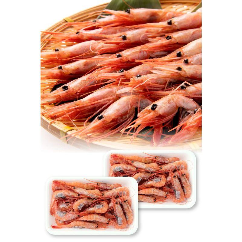 越前宝や 甘えび 500g（250g×2) 50〜30尾 子持ち 子無し サイズ不揃い 刺身用 甘エビ 越前 日本海産 エビ 海老 冷凍