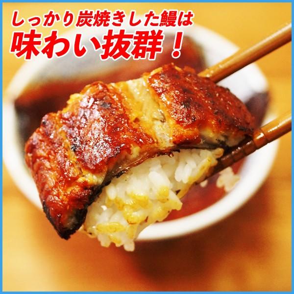 うなぎ お中元 土用の丑の日 ウナギ 特大鰻の蒲焼 長焼き180g×2尾 ギフトセット 360g 鹿児島産 国産 贈り物 プレゼント ギフト 贈答 熨斗