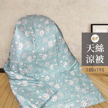 3M吸濕排汗 40支天絲 單人四季兩用被套  涼被   （A1特)