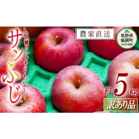 ふるさと納税 りんご サンふじ 訳あり 5kg ファームたんぽぽ 沖縄県への配送不可 2023年12月上旬頃から2024年1月中旬頃まで順次発送予定 令和5年.. 長野県飯綱町