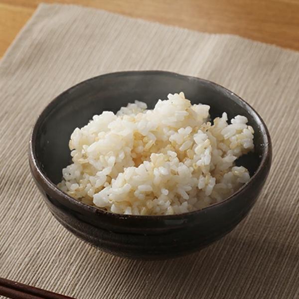 マゴメ 国内産 発芽玄米 (有機栽培米使用) 1kg 発芽玄米 コシヒカリ