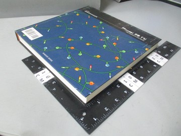 【書寶二手書T6／電腦_JPL】Pixal Style_王開立