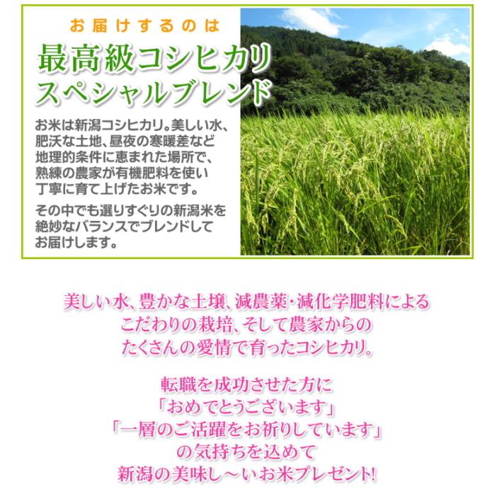 転職 プレゼント お米 2kg 新潟産コシヒカリ 無洗米 棚田米 高級銘柄米 新潟米 人気 お礼の品 お返し 送料無料