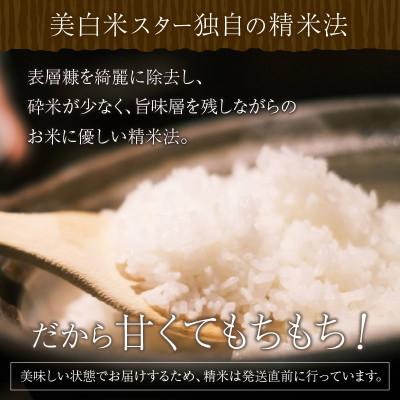 ふるさと納税 京丹後市 令和5年産　丹後こしひかり1等米　美白精米　2合×10袋(3kg)