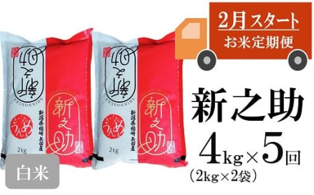 ヤタらうんめぇ 新之助 白米 4kg（2kg×2袋）×5回（計 20kg） [G431]