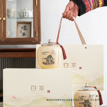 國風茶葉罐禮盒裝空盒包裝盒空禮盒中式龍井茶普洱茶白茶綠茶