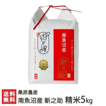 南魚沼産 桑原農産の新之助 精米 5kg 桑原農産 新潟産 新潟県産 のし無料 送料無料