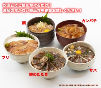 こだわり！土佐の海鮮丼の素５種・各2袋セット漬け丼 漬け丼セット 海鮮 丼 各2パック お茶漬け 鰹のタタキ かつお サバ 鯛 カンパチ ブリ 送料無料 故郷納税 ふるさとのうぜい 返礼品 高知県 高知 12000円