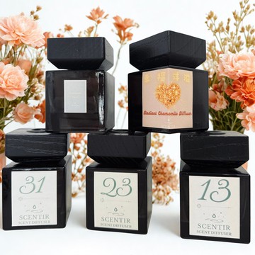 Scentir藤枝擴香瓶 (100ml)