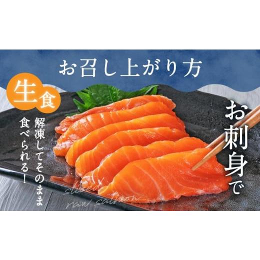 ふるさと納税 北海道 苫小牧市 生を超えた「とろ生 サーモン」 お刺身用 ブロック 1kg トロ 鮭 しゃけ 個包装 おすすめ 送料無料