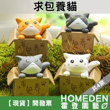 【隔日到貨】求包養貓 4款 微景觀 園藝裝飾 療育公仔 貓造型 DIY造景【HOMEDEN霍登園藝】