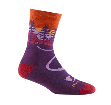 【【蘋果戶外】】Darn Tough 5013 NI_SH 女襪【終身保固】HIKE MICRO CREW 中量緩衝避震戶外機能襪羊毛襪 100％美國製造 雪襪 休閒襪 單車 中筒登山襪 美麗諾羊毛襪