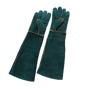 寵物夢工廠 寵物防抓手套  綠色  1雙