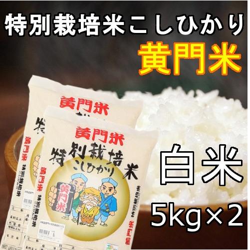 新米!!5年産黄門米特別栽培米こしひかり白米5kg×2　茨城県常陸太田