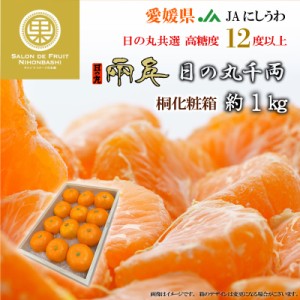 [予約 2023年 11月15日-12月15日の納品] 日の丸千両 約1kg 桐箱 SML 日の丸みかん 愛媛県産 JAにしうわ 日の丸共選 高品位　 冬ギフト