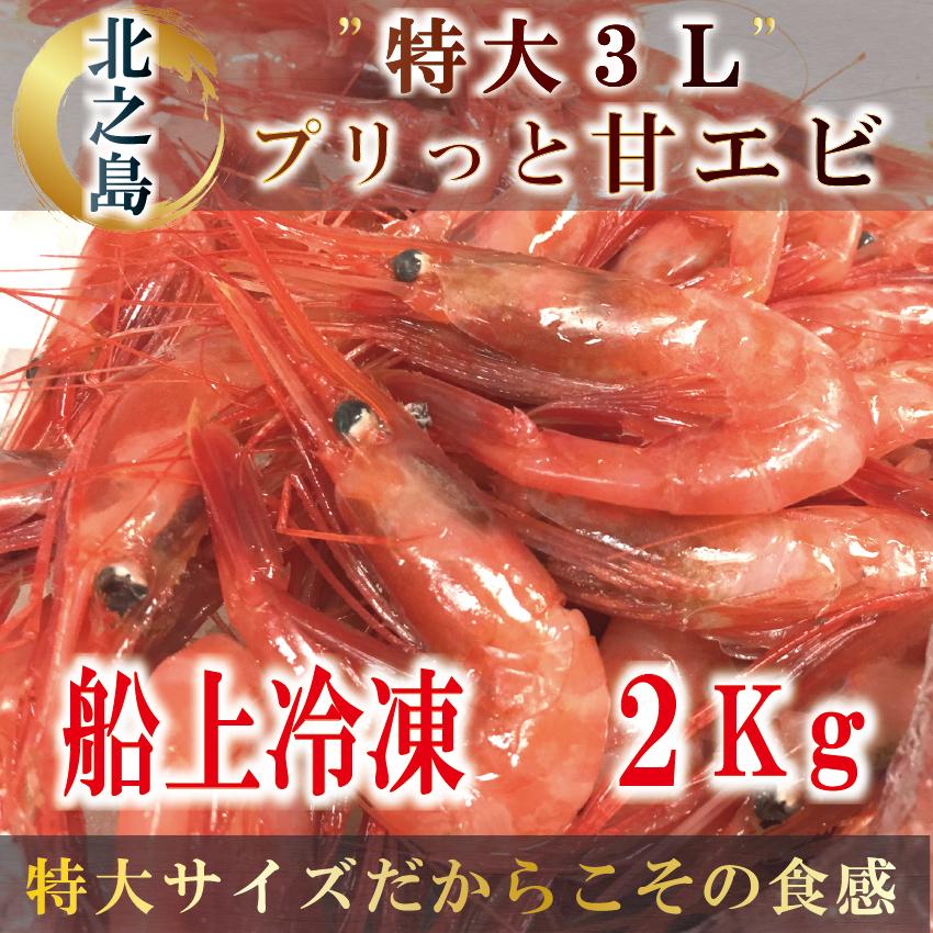 新鮮 特大3L 甘エビ 2kg 100尾前後 海鮮ギフト 甘海老 南蛮エビ えび 海産物 贈り物 お祝い 成人式 ギフト