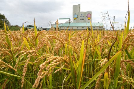 令和5年産 特Aランク米 食べ比べセット 玄米 10kg（ゆめぴりか・ななつぼし各5kg）雪冷気 籾貯蔵 北海道 雪中米