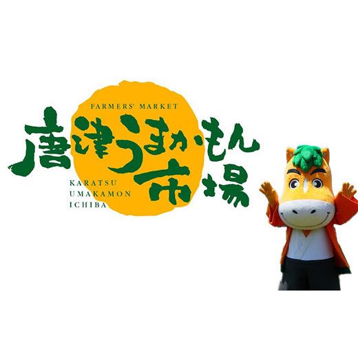 ふるさと納税 佐賀県 唐津市 『予約受付』佐賀県唐津市「いちごさん」桐箱 800g いちご 苺 イチゴ 桐箱 ギフト