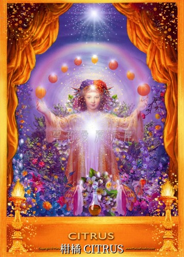 柑橘 CITRUS【5*7吋美國進口正版作品】精靈天使精油神諭卡 - 精油天使系列畫