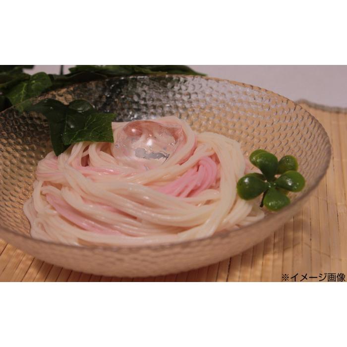 送料無料 みうら食品 紅花そうめん 300g×20袋 |b03