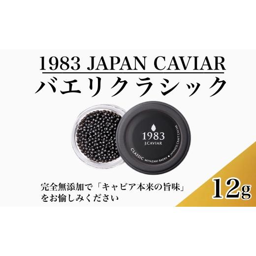 ふるさと納税 宮崎県 小林市 バエリクラシック　12g