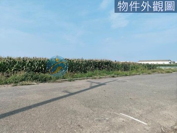 近將軍國小人土風情6米路農地｜台南市將軍區將軍段
