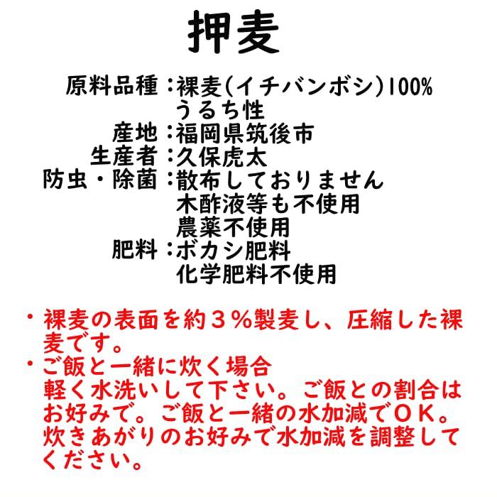 押麦450g ポスト投函専用 福岡県産 裸麦