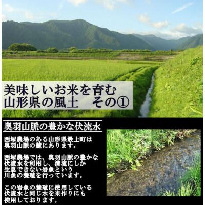 ふるさと納税 最上町 特別栽培米はえぬき　玄米 20kg　山形県産　西塚農場のお米