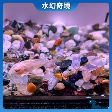 【水幻奇境】魚缸底沙 七彩水晶碎石底沙 碎石底沙 魚缸底沙