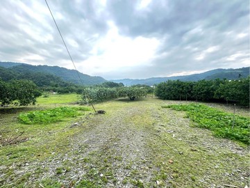 冬山近仁山植物園適農場柚子園千坪農地！~永慶旺傑｜宜蘭縣冬山鄉中山段