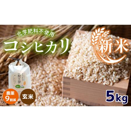 ふるさと納税 農薬9割減・化学肥料不使用 コシヒカリ(玄米) 5kg 山口県美祢市