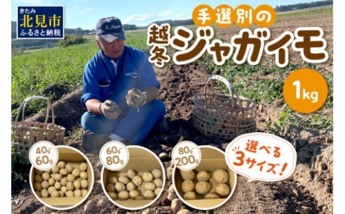 宇野さんの手拾い、手選別の越冬ジャガイモ 1kg 　( 芋 野菜 選べる