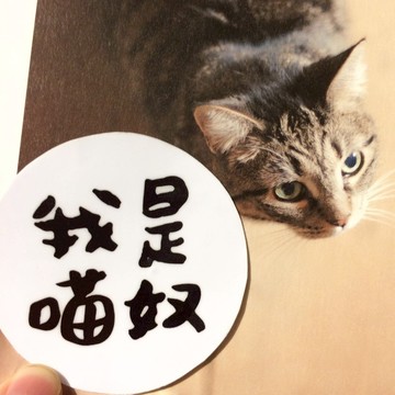 我是貓奴 v.s 鏟屎官 防水貼紙  Waterproof stickers