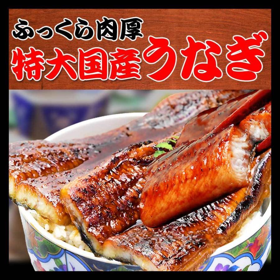 ギフト うなぎ 蒲焼き 国産 鰻 うなぎ蒲焼 セール 九州産 4尾 特大(約250g前後×4尾)60代 70代 80代 宮崎・鹿児島県産