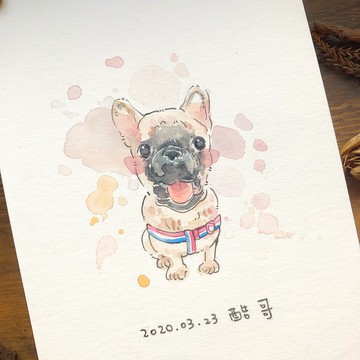 【手繪 / 寵物】 客製 畫像 似顏繪 毛孩 狗 貓 兔子 老鼠