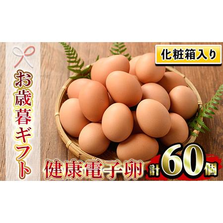 ふるさと納税  健康電子卵（鶏卵）6パック 60個入り 鹿児島県いちき串木野市