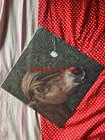 文兆杰 愛神 正版未拆黑膠唱片 LP 經典收藏 絕版珍藏 發燒友必備 高音質母帶 限量發行