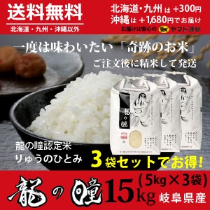 新米・龍の瞳  15kg（5kg×3袋）お得セット 岐阜県産 令和5年産米 白米 ご注文後に精米・発送 送料無料（一部地域除く）